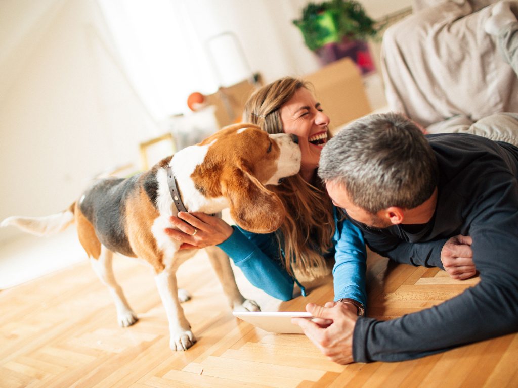 How a pet resume helps secure a rental property